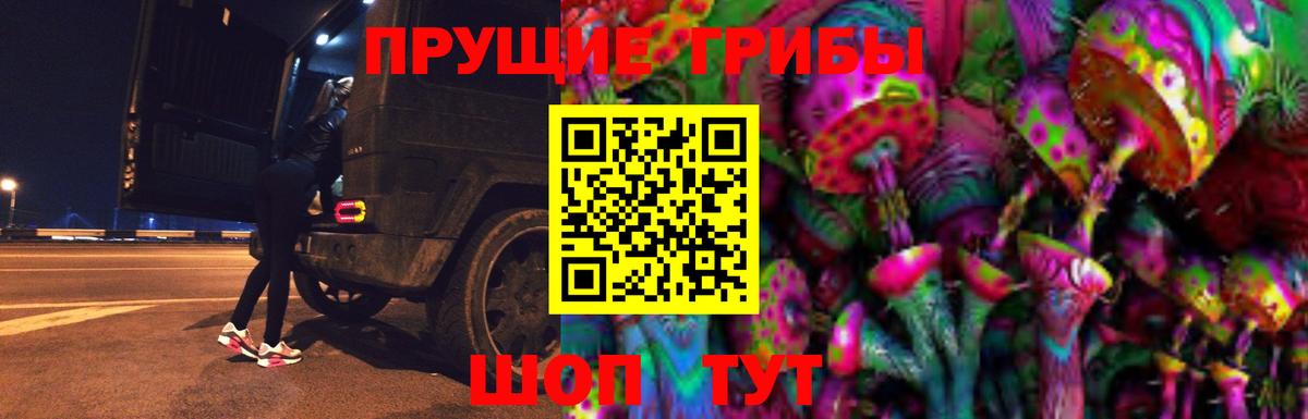 Малоярославец  Псилоцибиновые грибы MAGIC MUSHROOMS  Галлюциногенные грибы прущие грибы  Вход с VPN 